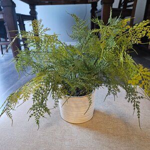 Studio Mcgee Faux Fern Plant